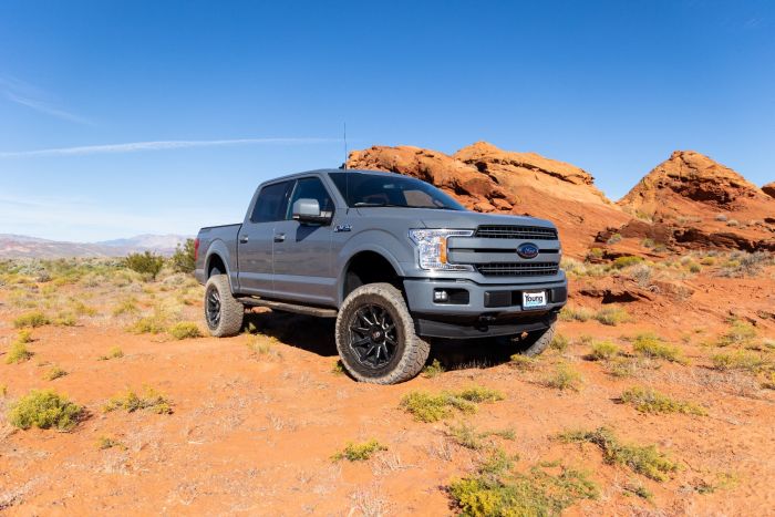 ReadyLIFT - 2015-2020 Ford F150 4WD - 6&